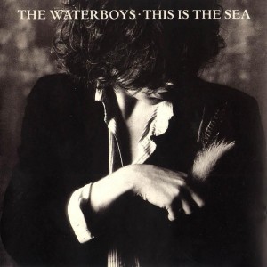 The Waterboys / This Is The Sea / 180g vinyl reissue